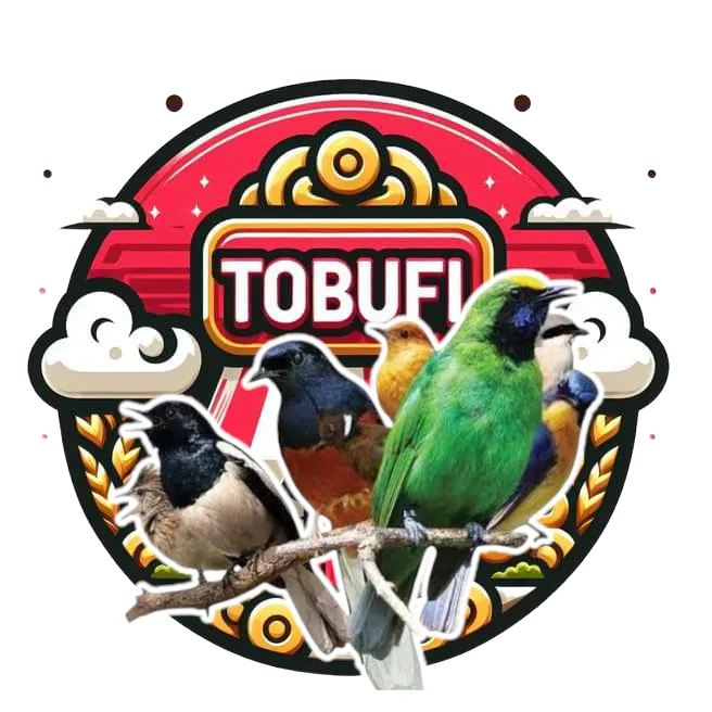tobufi8
