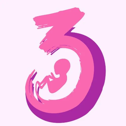 trimesterofficial