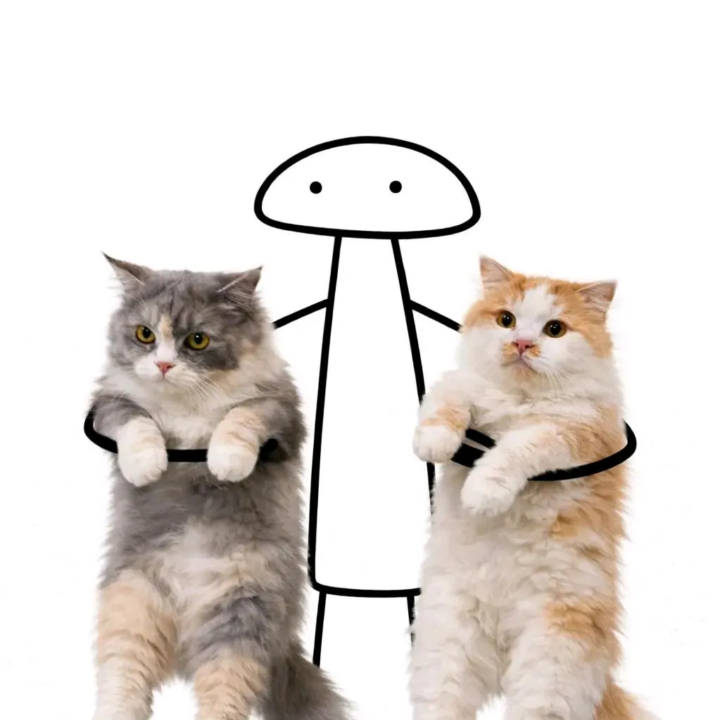 vitadankucingnya