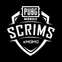 xmomo.id