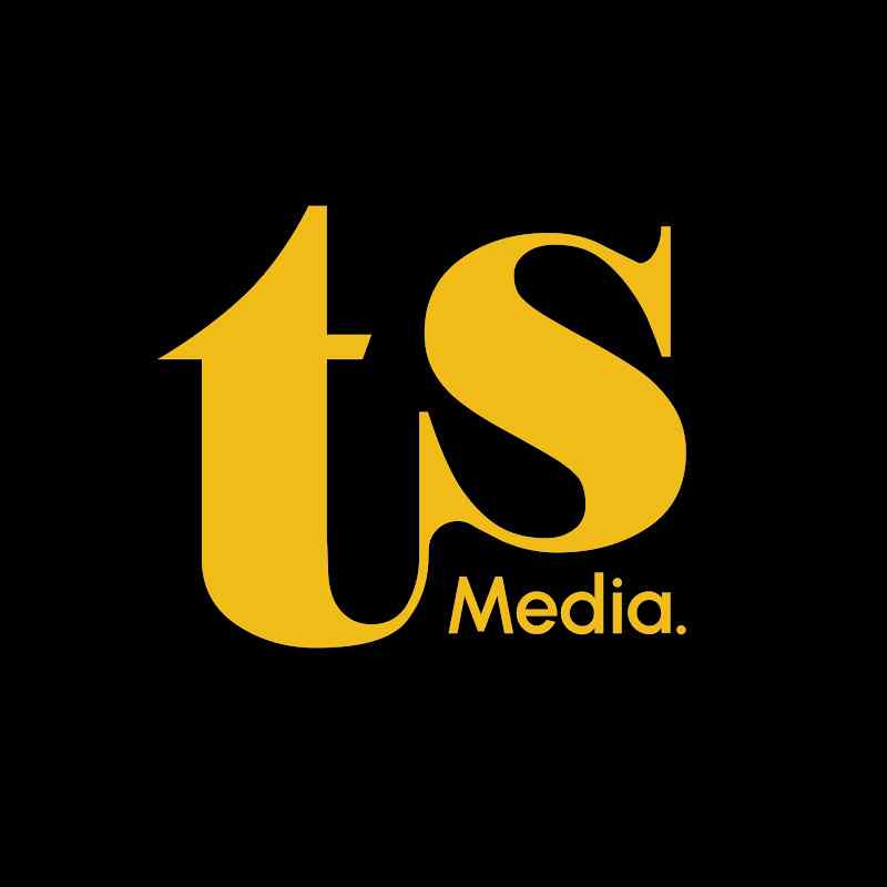 TSMediaID