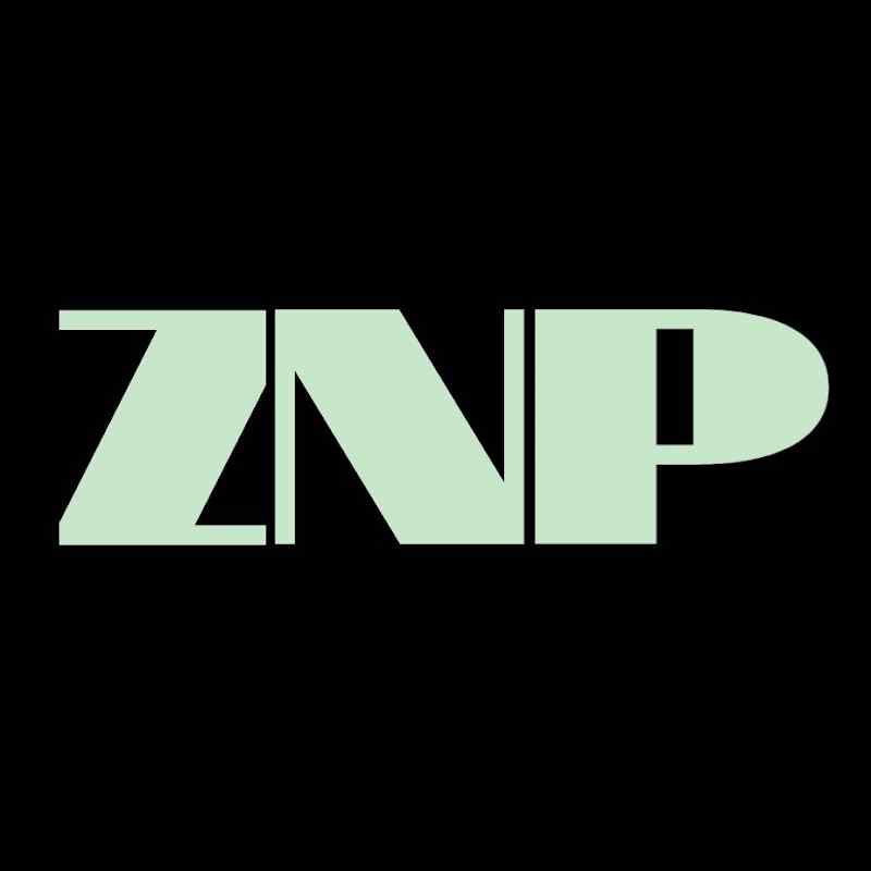 zeplinnandapratama_